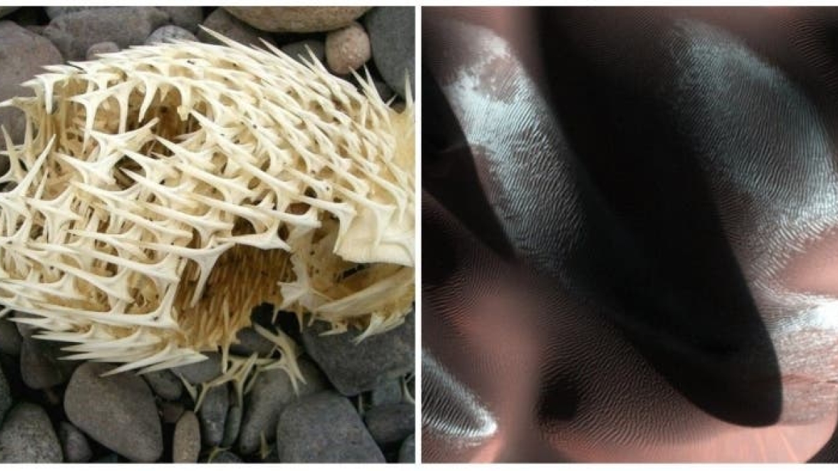 18 seemingly banal things that aren't as ordinary as you think