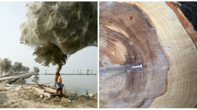 Illustration : 15 astonishing photos that haven't had a single retouch