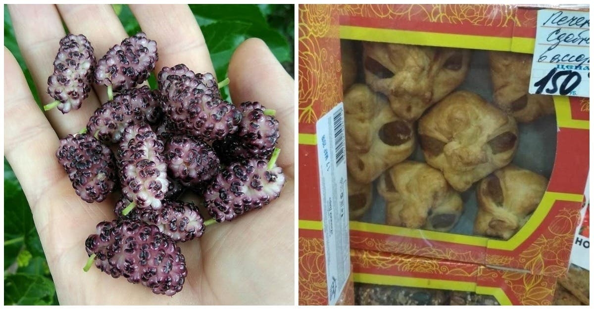 15 photos that mess with our perception