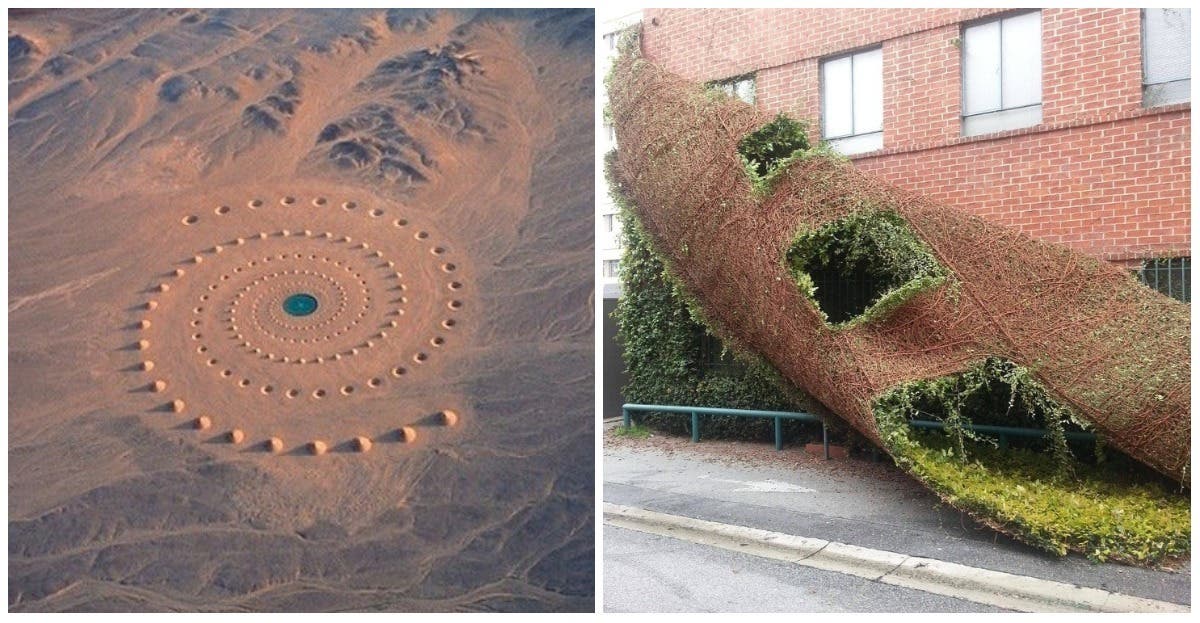 17 unusual sights that deserve a closer look