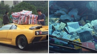 Illustration : 18 photos that prove it's a crazy world out there