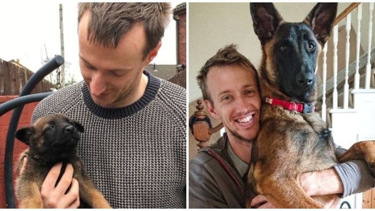 20 photos of dogs and cats that grew to be bigger than their owners