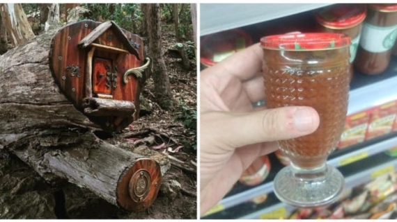 Illustration : 20 photos of unexpected treasures