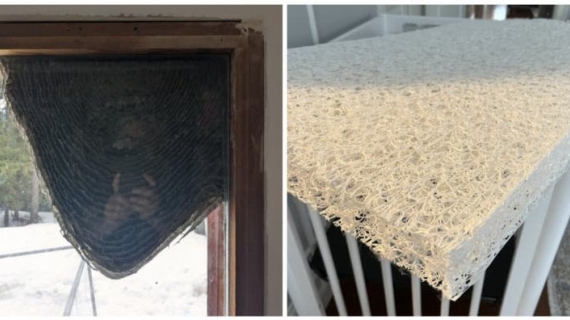 Illustration : 18 brain-teaser photos that may take you a while to figure out