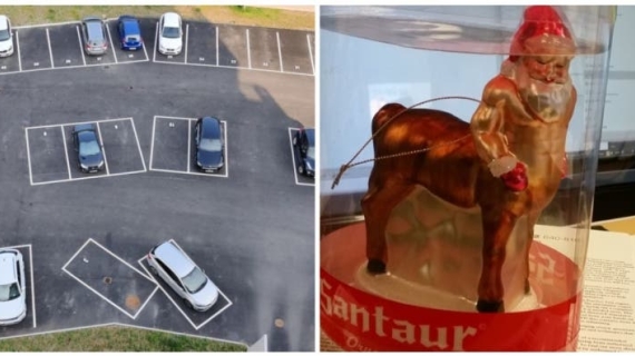 Illustration : 20 humor-packed photos guaranteed to brighten your day