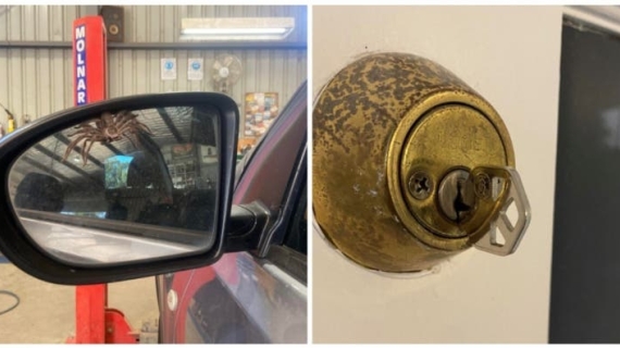 Illustration : 18 crazy optical illusions caught on camera