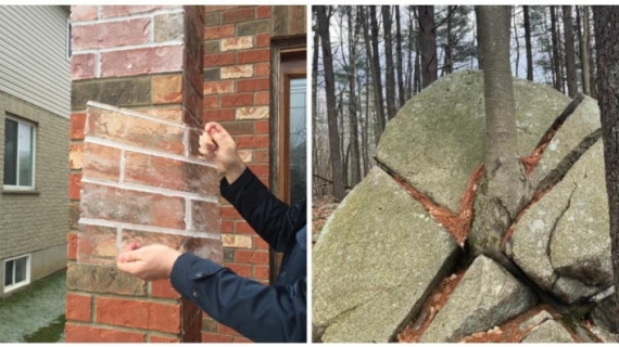 Illustration : 19 photos that show how Mother Nature loves to surprise us!