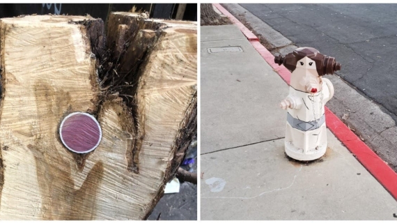 Illustration : 18 unusual sights that netizens snapped and shared