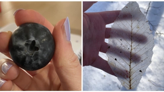 Illustration : 19 photos of joyful situations