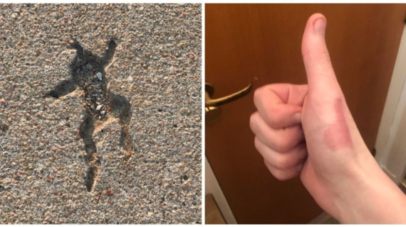 Illustration : 20 photos of unusual sights spotted around the world