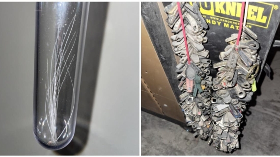 Illustration : 20 photos of weird and wonderful collections that people have treasured over the years