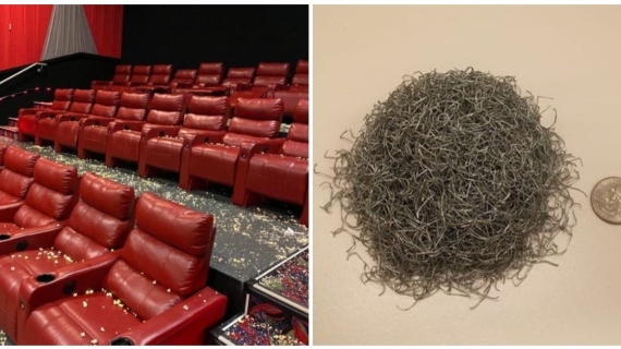 Illustration : 20 people show what their job is really like