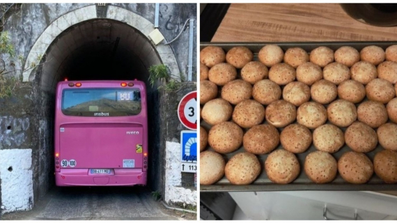 Illustration : 20 photos that define the term "perfect fit"