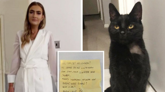 Illustration : Her cat came home with a new collar with an intruiging note attached