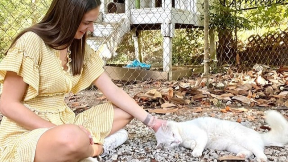 Illustration : A woman moved into her new house and discovered that the former occupants had left their 2 cats behind
