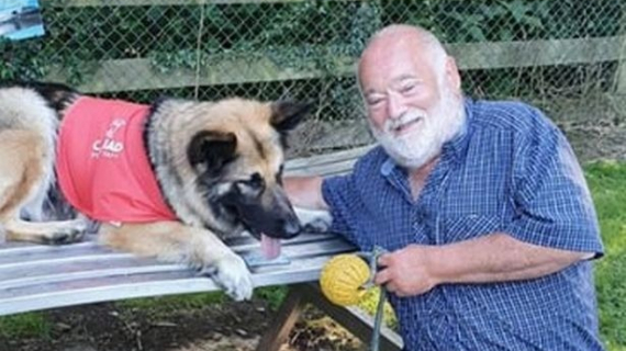Illustration : Video: Forced to let go of his dog after a stroke, this retiree was delighted to meet a German Shepard therapy dog