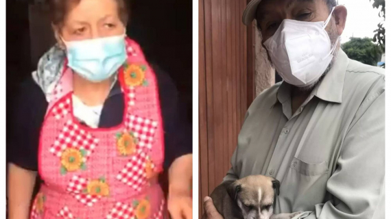 Illustration : A grandmother who was not allowed to adopt a dog receives the most beautiful gift (video)