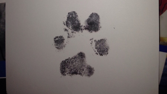 Illustration : A veterinarian saddened that he had to euthanize a dog sends a touching letter to the family