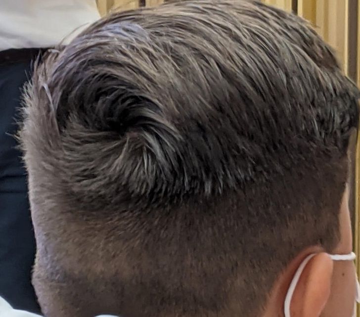 Illustration de l'article : 19 photos that will soothe the fussiest of people