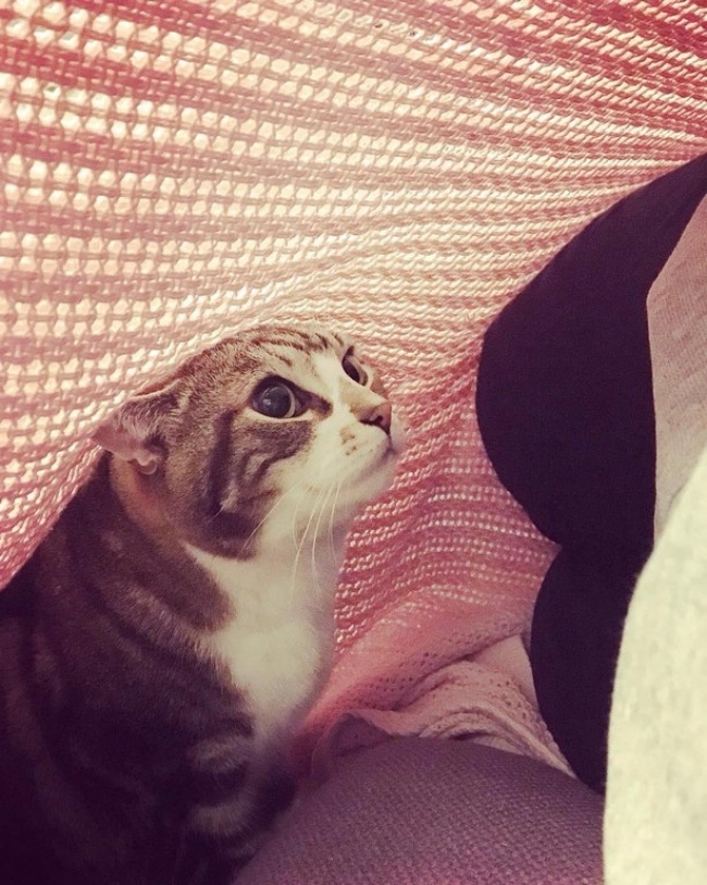 Illustration de l'article : 28 heart-warming acts of kindness that will restore your faith in humanity