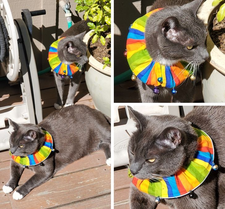 Illustration de l'article : 18 people who found dubious solutions to their problem