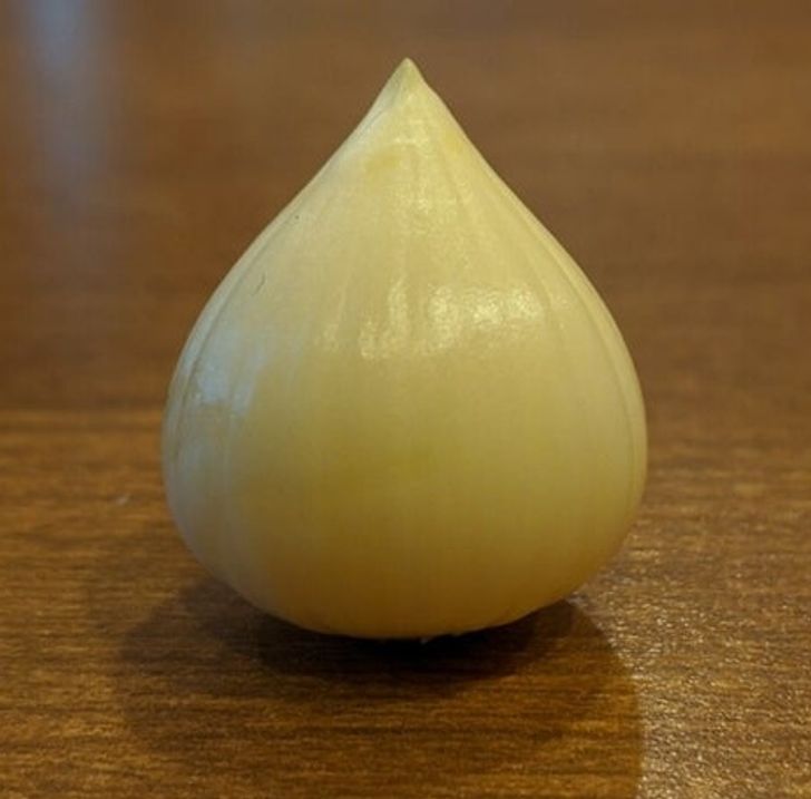 Illustration de l'article : 19 photos that will soothe the fussiest of people