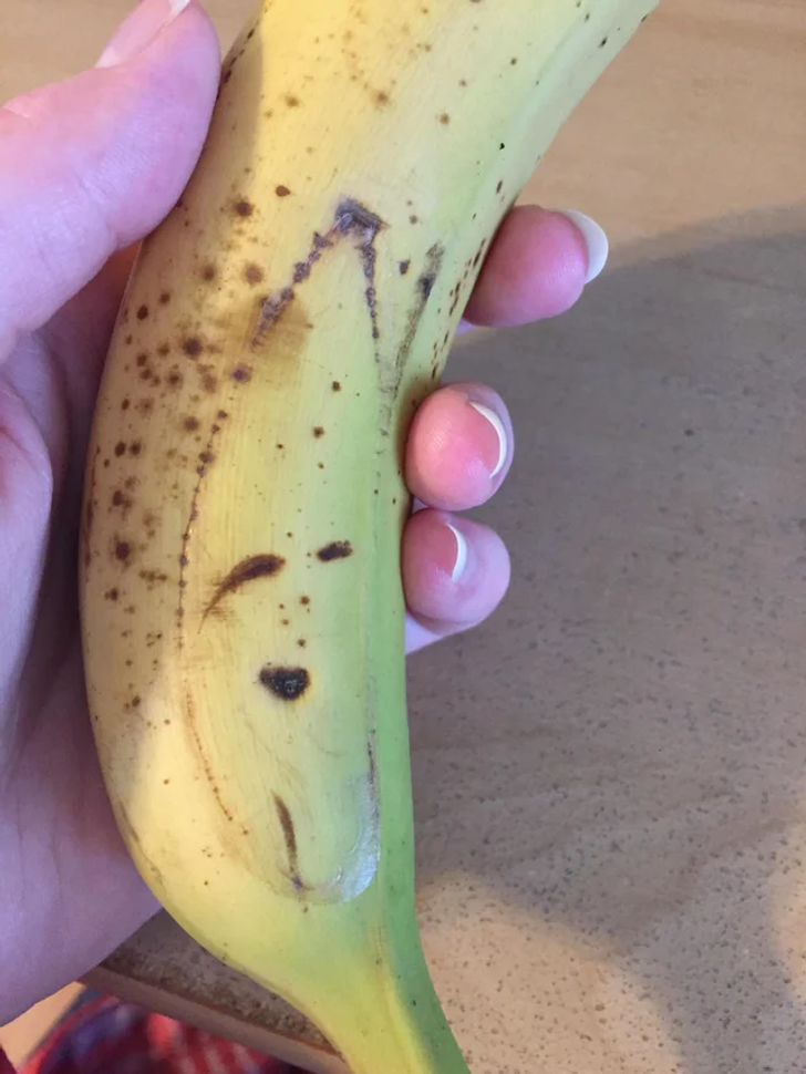 Illustration de l'article : 19 photos of everyday things that will bring a smile to your face