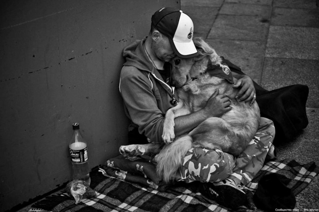 Illustration de l'article : 17 moving photos that will touch your heart