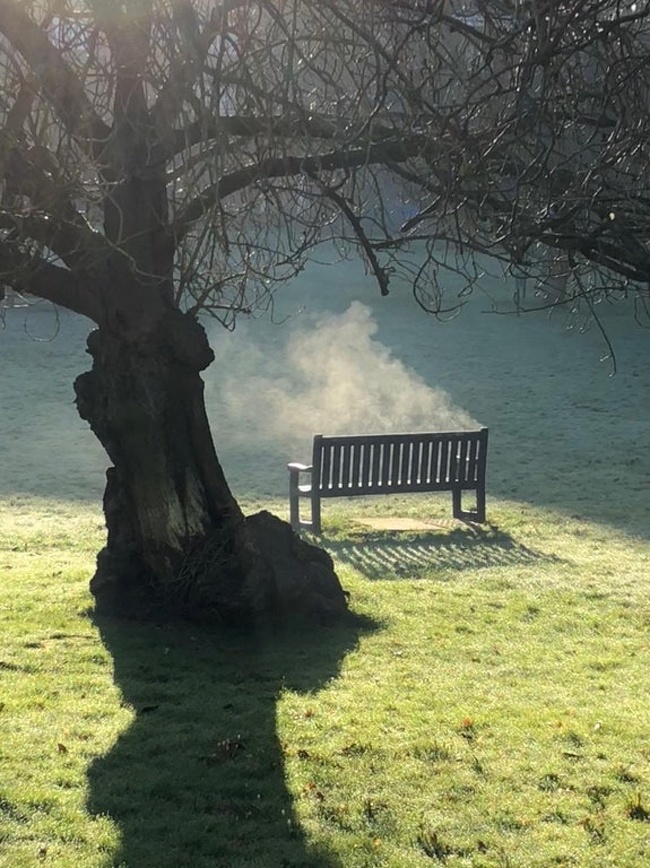 Illustration de l'article : Check out these 24 unnerving optical illusions