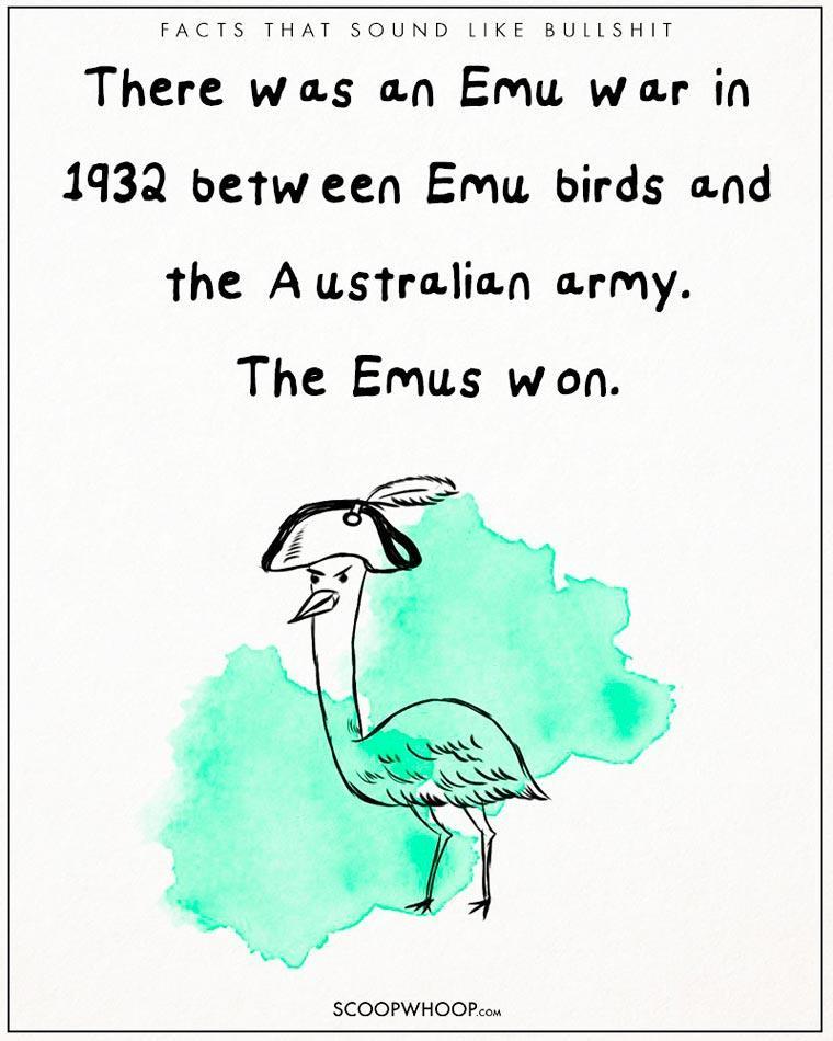 Illustration de l'article : 22 crazy but totally true facts illustrated with drawings!