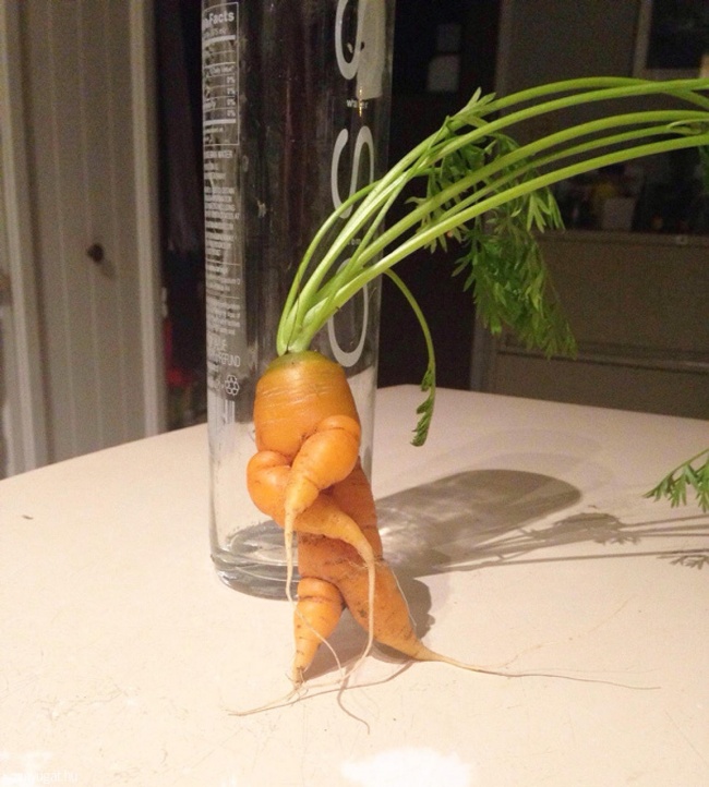 Illustration de l'article : 27 photos where something strange happened with food