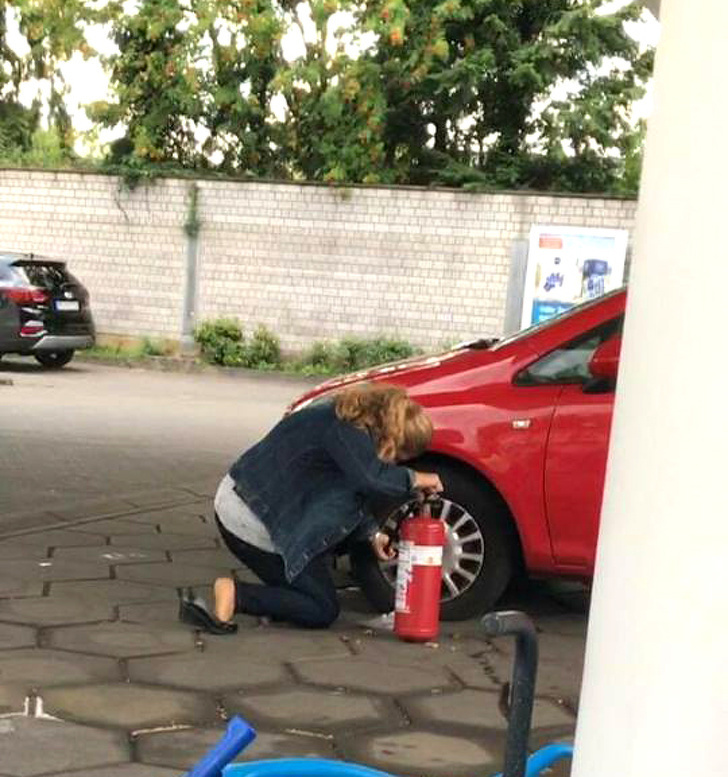 Illustration de l'article : 19 crazy sights caught on camera