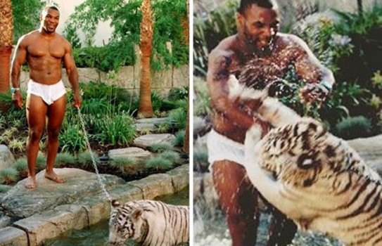 Illustration de l'article : Which of these 12 celebrity pets is the most unusual?