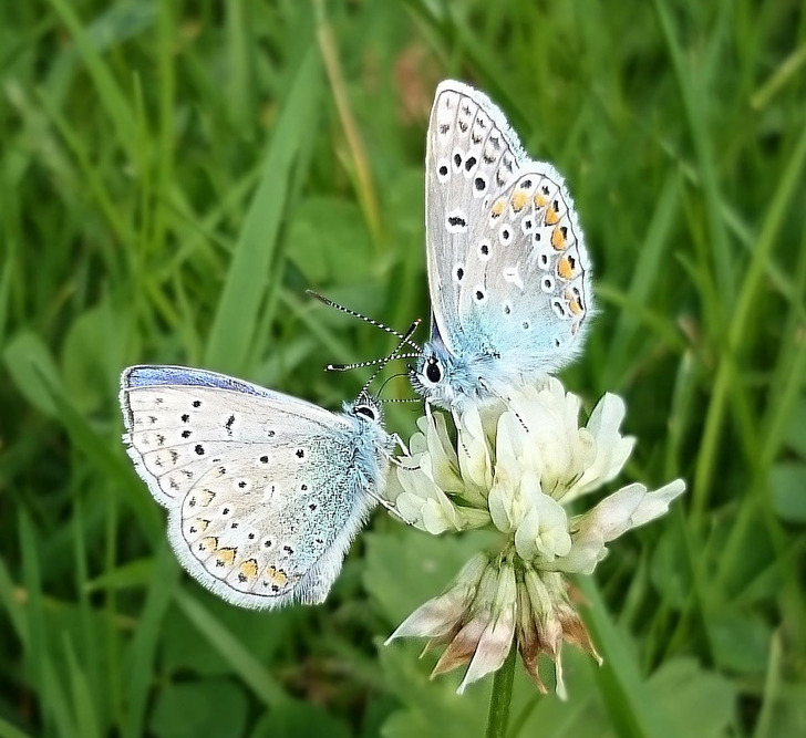 Illustration de l'article : 16 weird and wonderful photos of nature