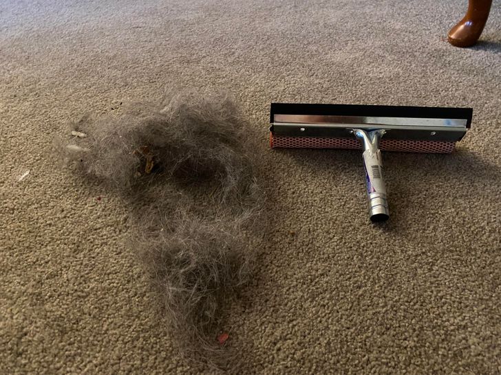 Illustration de l'article : 20 life hacks that could be worth a try