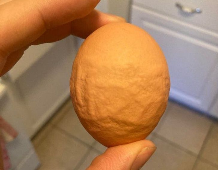 Illustration de l'article : 19 times when someone came across something weird