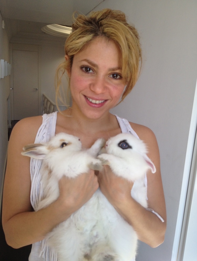 Illustration de l'article : Which of these 12 celebrity pets is the most unusual?
