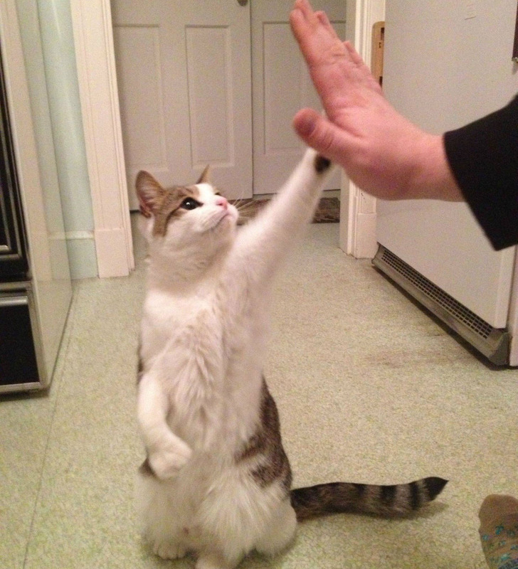 Illustration de l'article : 20 people who snapped and shared a moment of happiness