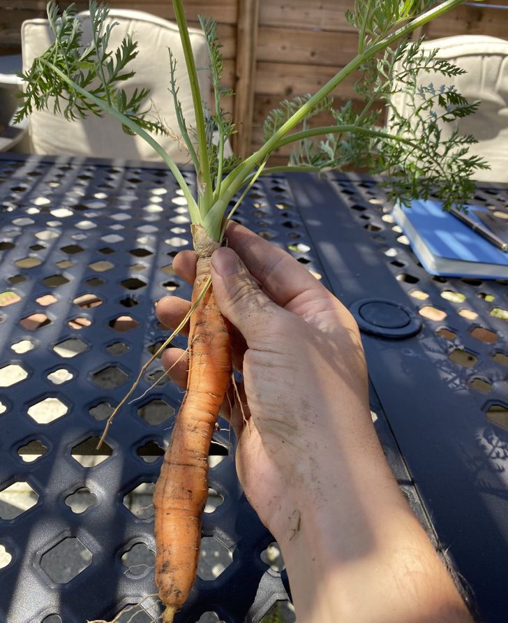 Illustration de l'article : 14 photos that illustrate the power of Mother Nature