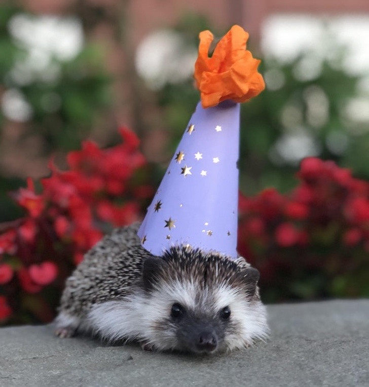 Illustration de l'article : 18 people who snapped and shared a moving moment