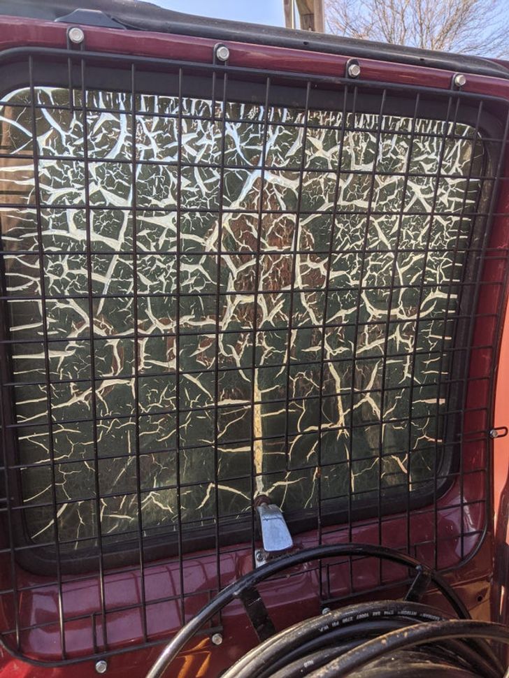 Illustration de l'article : 15 photos of amazing accidental art