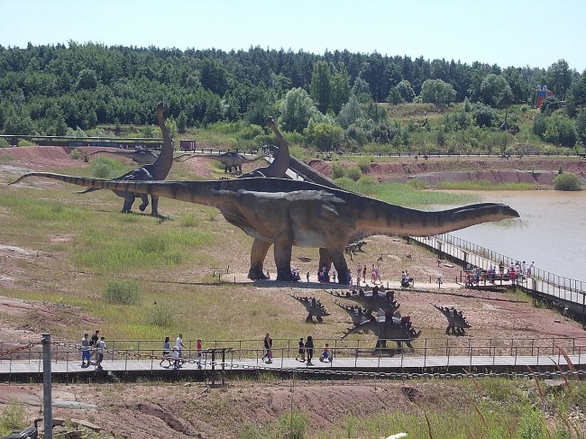 Illustration de l'article : 15 of the biggest living things found on Earth