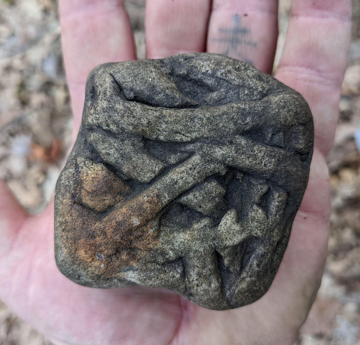 Illustration de l'article : 16 weird and wonderful photos of nature