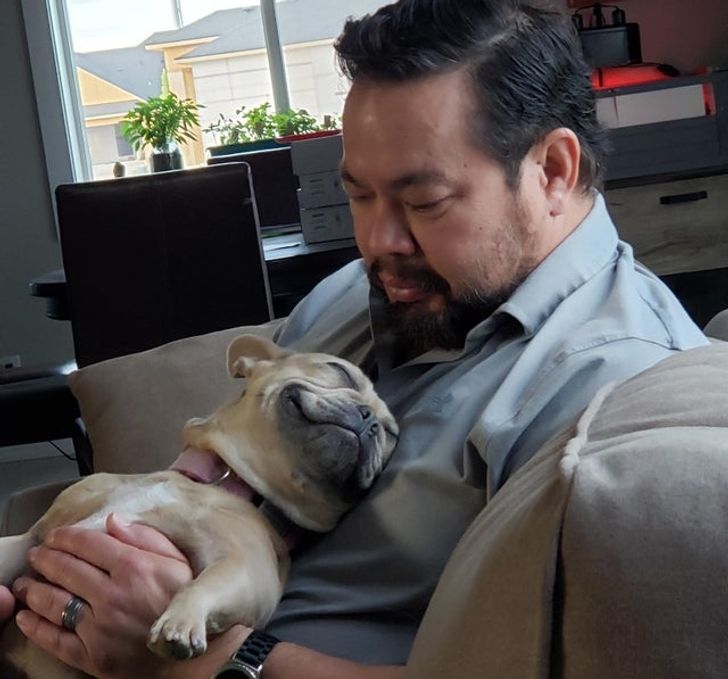 Illustration de l'article : 19 pets that prove animals can show true love