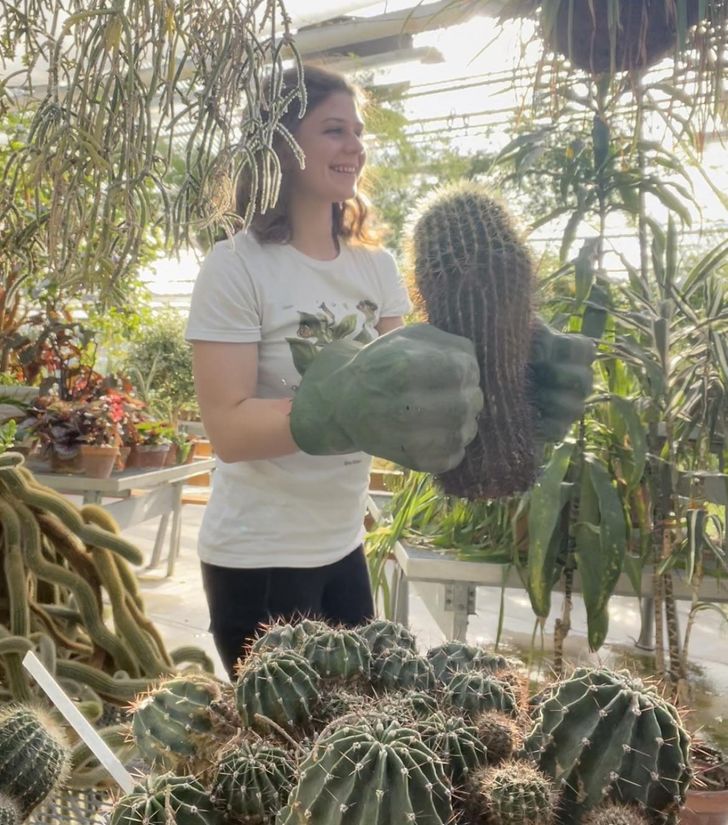 Illustration de l'article : 20 life hacks that could be worth a try