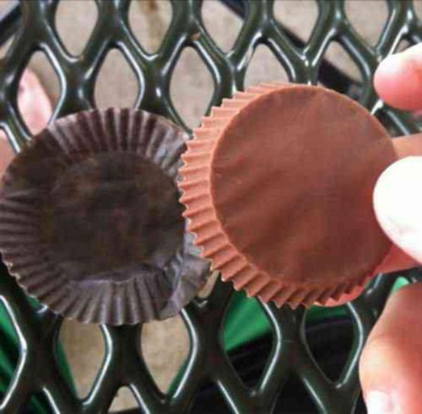 Illustration de l'article : 19 photos that show that being perfect is entirely possible