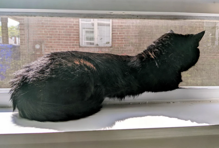 Illustration de l'article : 16 photos that will totally mess with your brain