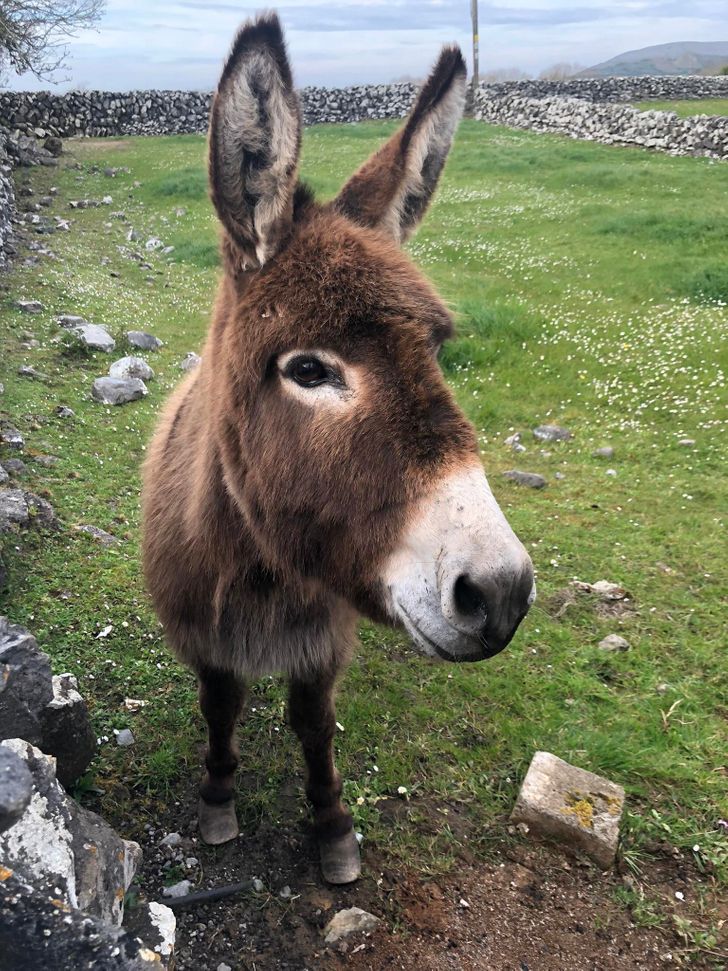 Illustration de l'article : 20 people who returned home with an unforgettable memory of their vacation