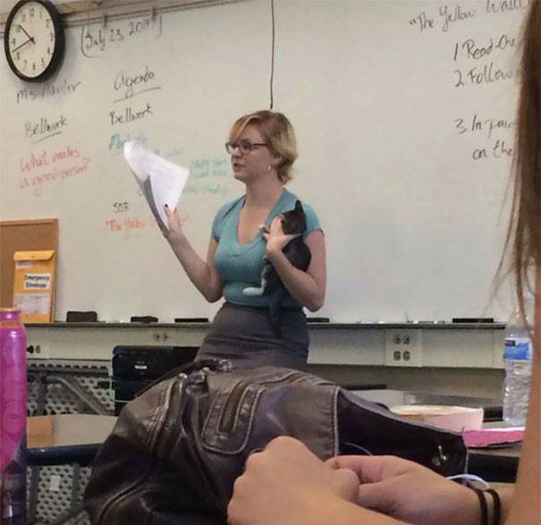 Illustration de l'article : 20 of the most awesome teachers ever
