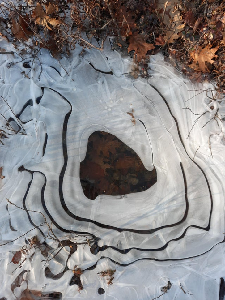 Illustration de l'article : 20 photos that illustrate the beauty of icy winters